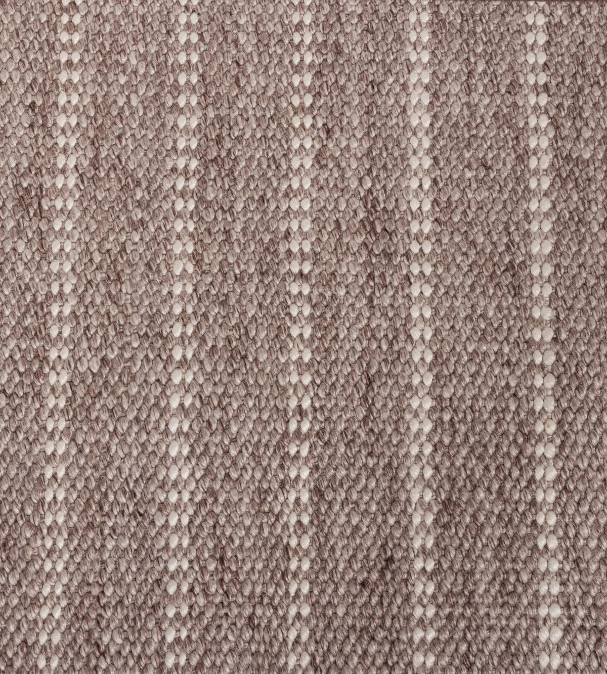 Oak Valley Felicity - Runner