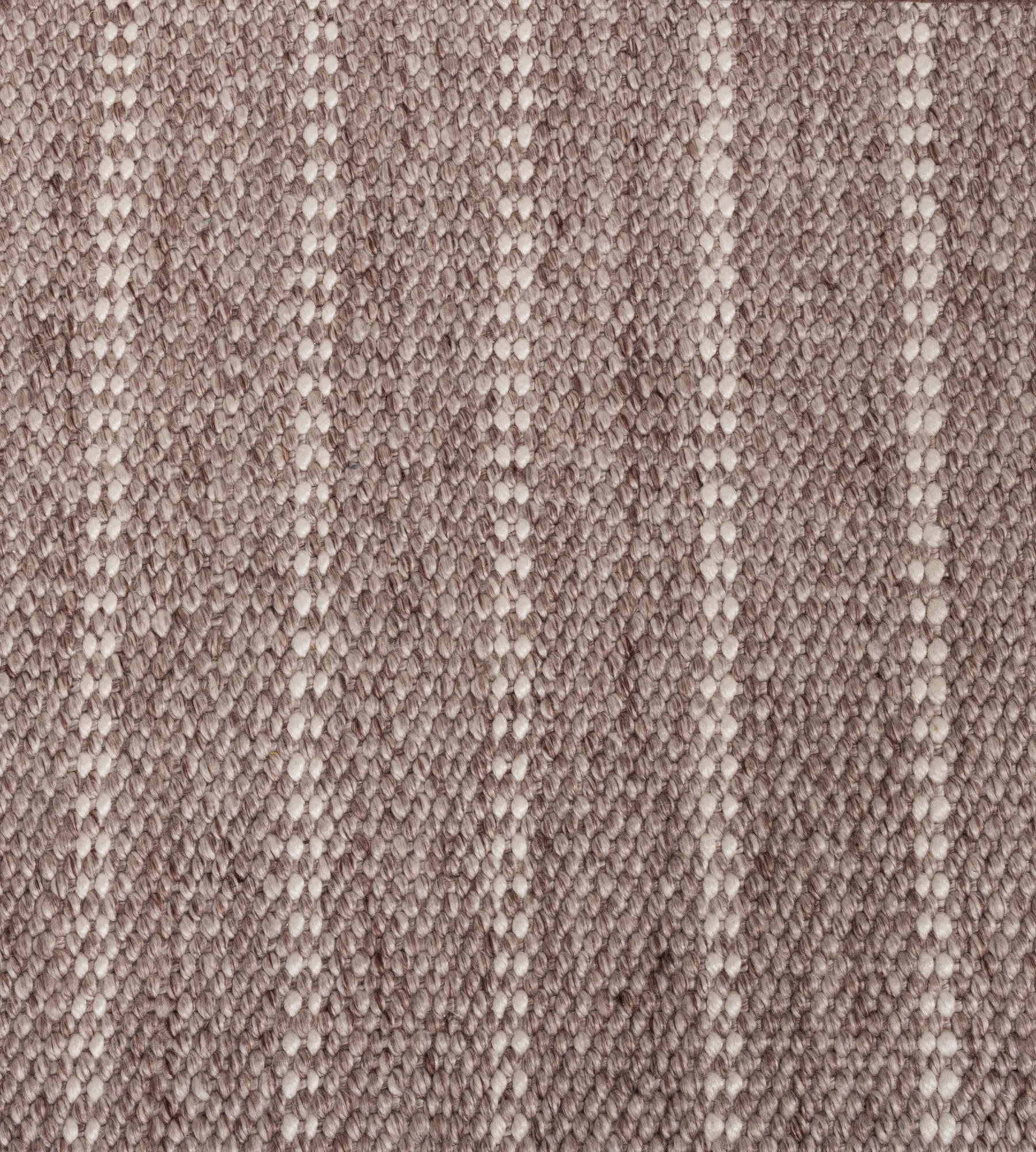 Oak Valley Felicity - Runner