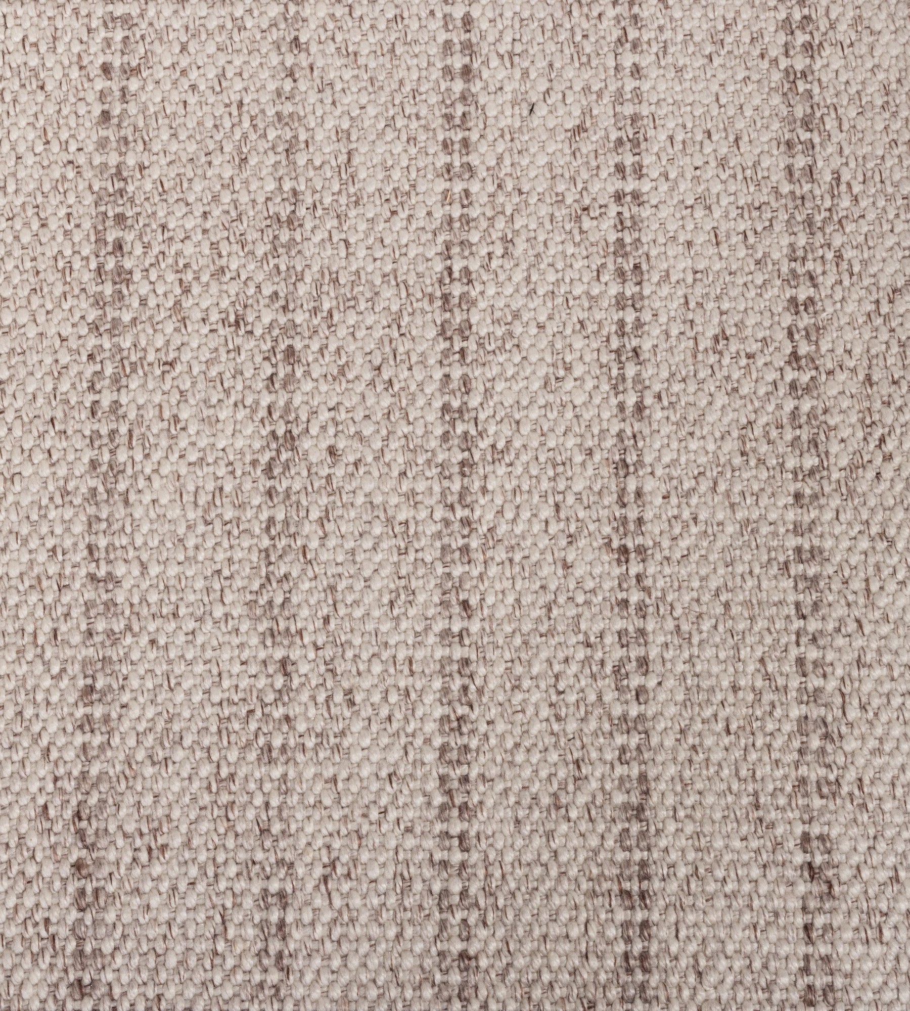 Oak Valley Felicity - Runner