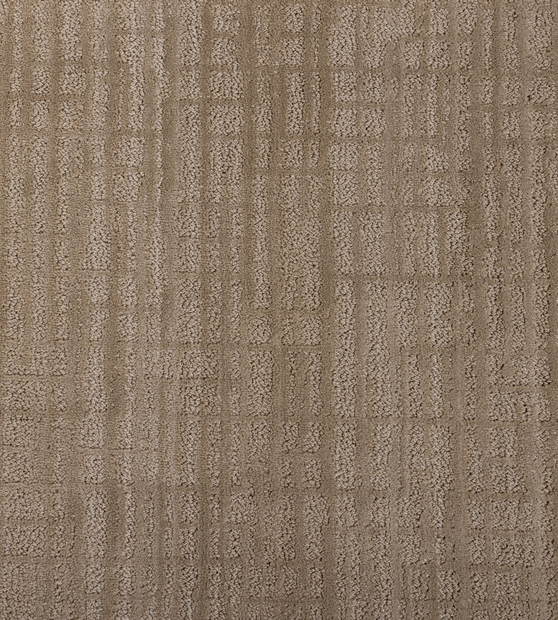 Oak Valley Skyline Shift - Runner